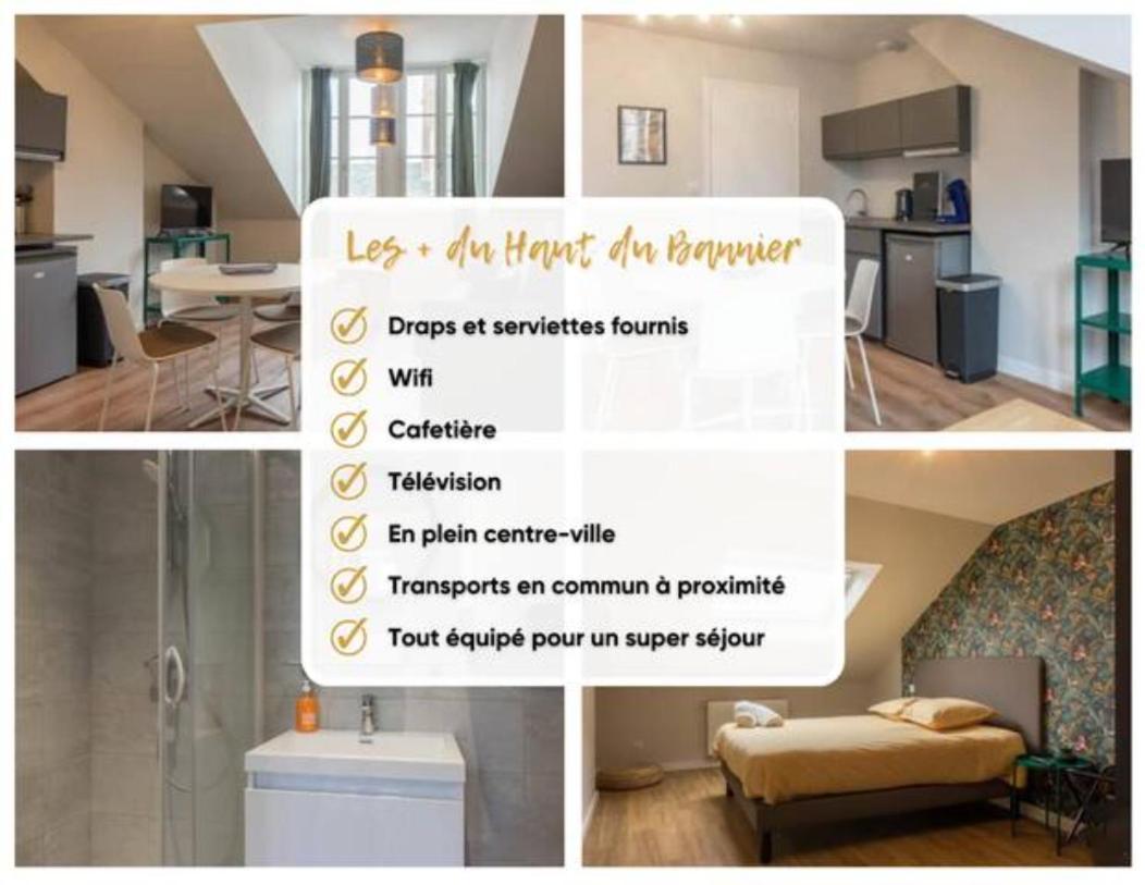 Le Haut Du Bannier * T2 * Hyper Centre * Wifi * Lägenhet Orléans Exteriör bild